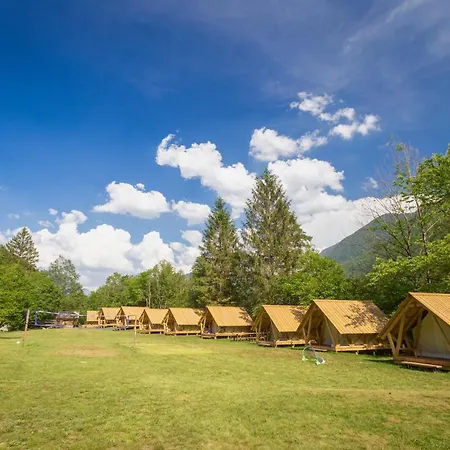 Adrenaline Check Camping *