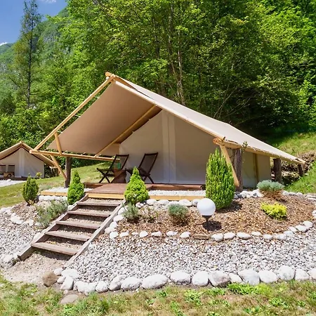 Adrenaline Check Camping *