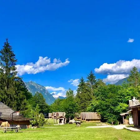 Adrenaline Check Camping