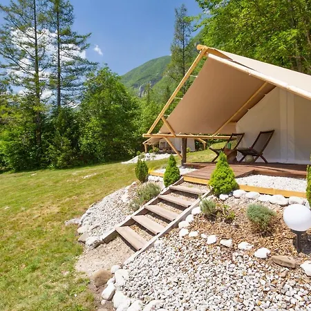 Adrenaline Check Camping