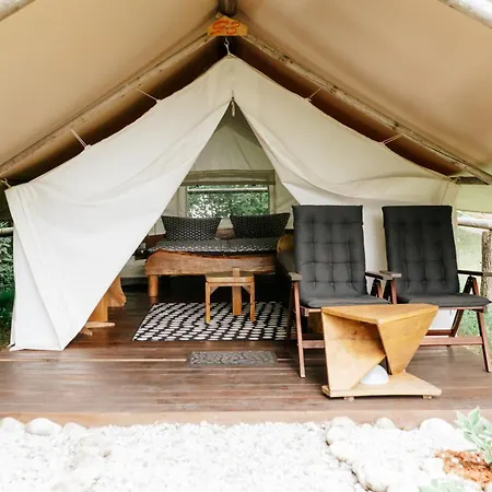 Adrenaline Check Camping *