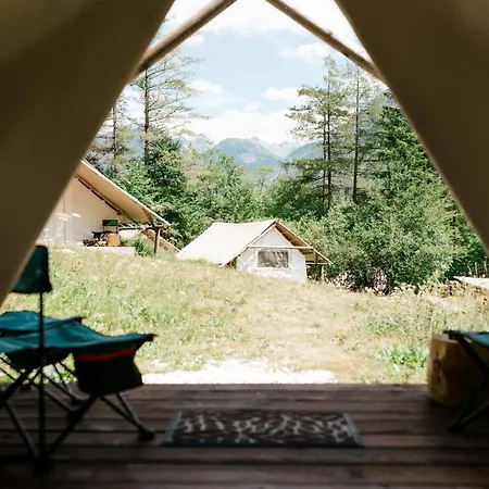 Adrenaline Check Camping *