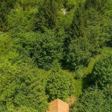 Adrenaline Check Camping *