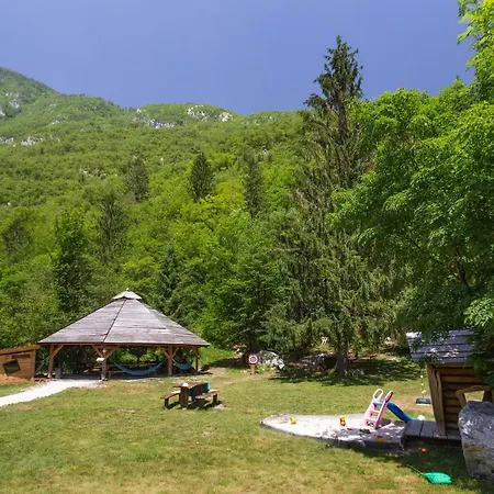 Adrenaline Check Camping