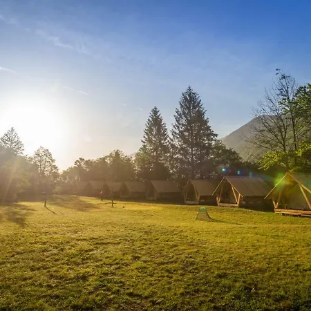 Adrenaline Check Camping *