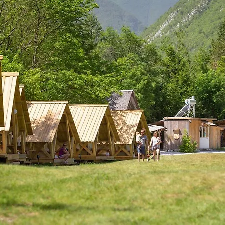 Adrenaline Check Camping *