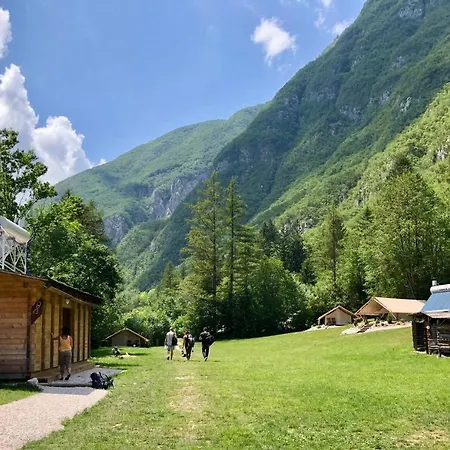 Adrenaline Check Camping